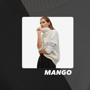 EUC Mango Colorblocked Turtleneck Sweater